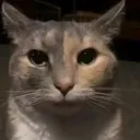 broWTF