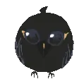 ravenba_AAAAA