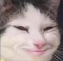 wutsmug