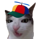 GoofyCat