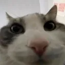 LOL