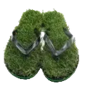 Grass