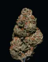 Weed_Bud