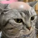emoji_41