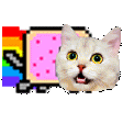 Nyancat nyancat Discord Emoji