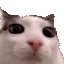plink