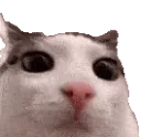plink