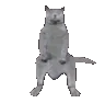 CatoDance