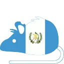 rat_Guatemala