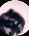 emoji_5