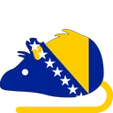 rat_BosniaHerzegovina