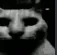 Whar