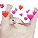 heartcat