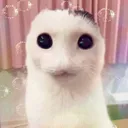 creature