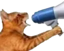 YOOO