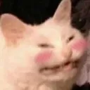 HEHEHE