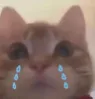 sad