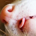 tongueout tongueout