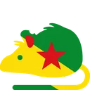 rat_FrenchGuiana