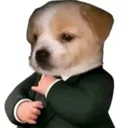 PerroFresco