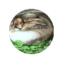 sylviaball