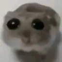 creature