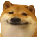 happydog