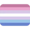 6304bigenderflag