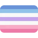 9149bigenderflag