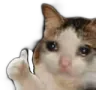 tomomithumb