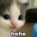 d_Hehe_STTG