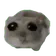 sadhamster