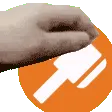 adminpet adminpet