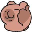 CapyThumbsUp CapyThumbsUp