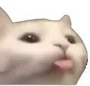 mlem mlem