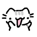 kitten
