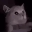 FLASHBANG FLASHBANG