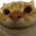NODDERS