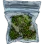 gtrweed