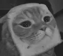 sadcat51