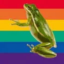 gayfrogs Discord Emoji