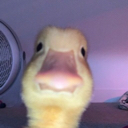 emoji_186 Discord sticker from Bangwing IN