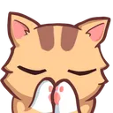 cat_pray