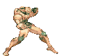 zawarudo