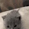 HiThere