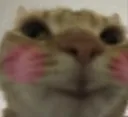 howieflushed