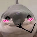 blushark