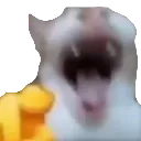 Catlaugh