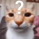 catwhar Discord Emoji