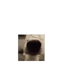 SNIFFLET SNIFFLET